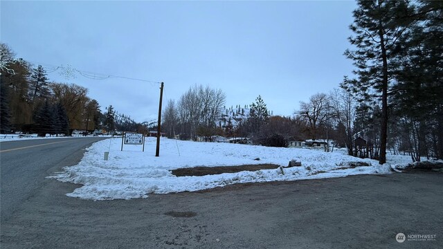 0XX3 N Main St, Conconully, WA 98819 - photo 16