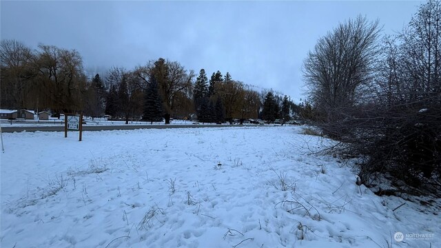 0XX3 N Main St, Conconully, WA 98819 - photo 21