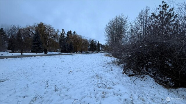 0XX3 N Main St, Conconully, WA 98819 - photo 22