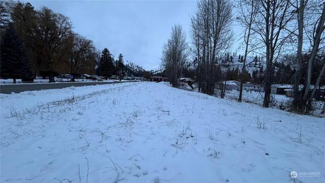 0XX3 N Main St, Conconully, WA 98819 - photo 25