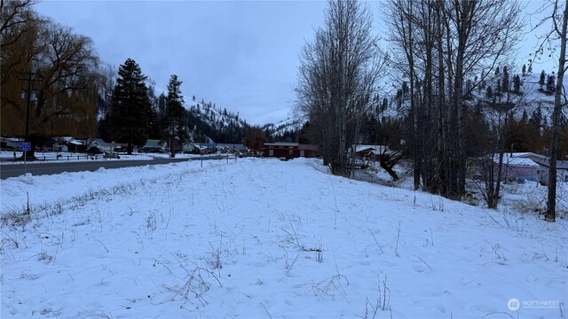 0XX3 N Main St, Conconully, WA 98819 - photo 26