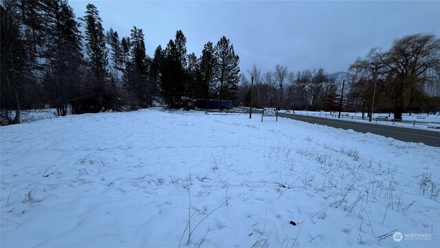 0XX3 N Main St, Conconully, WA 98819 - photo 27