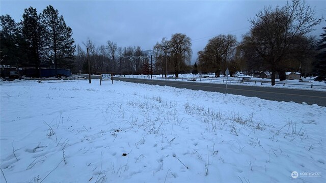 0XX3 N Main St, Conconully, WA 98819 - photo 28