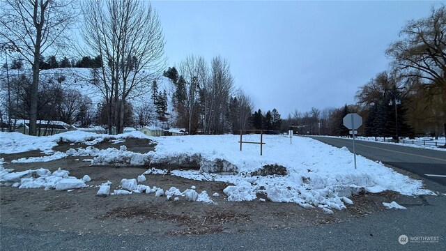 0XX3 N Main St, Conconully, WA 98819 - photo 29