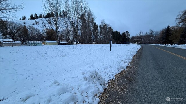 0XX3 N Main St, Conconully, WA 98819 - photo 31