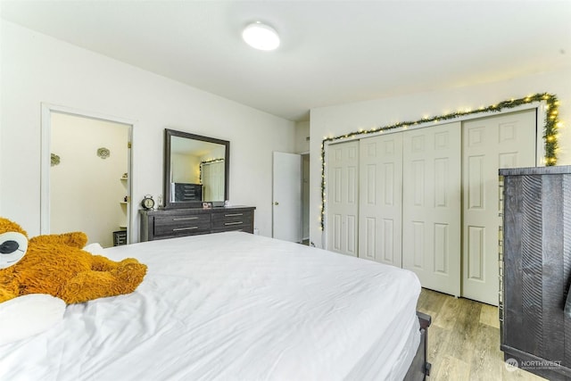 bedroom featuring light hardwood / wood-style flooring