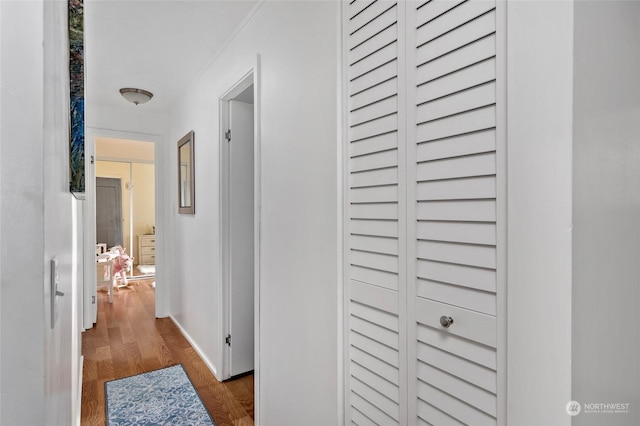 hallway featuring dark wood-type flooring