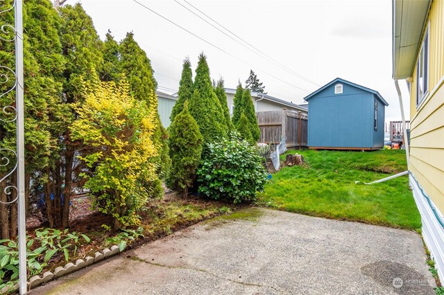 view of yard with a storage unit and a patio