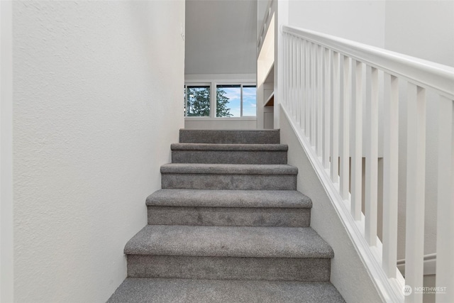 staircase with carpet