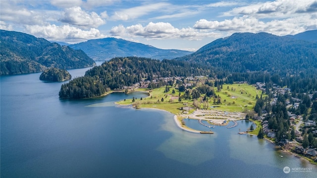 birds eye view of property with a water and mountain view