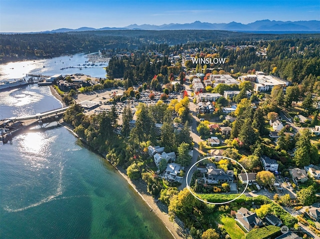 drone / aerial view with a water and mountain view