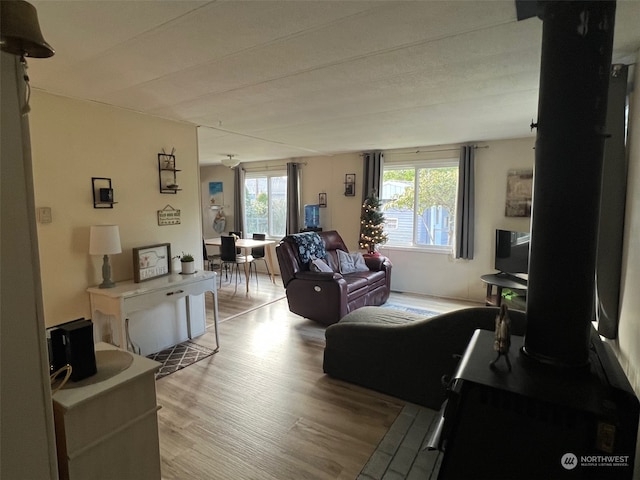 living room with light hardwood / wood-style flooring