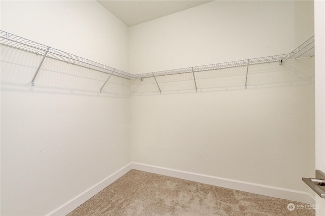 spacious closet with light carpet