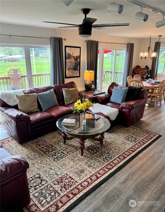 living room featuring ceiling fan with notable chandelier, rail lighting, and hardwood / wood-style floors