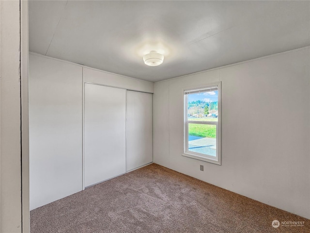 unfurnished bedroom featuring carpet floors and a closet