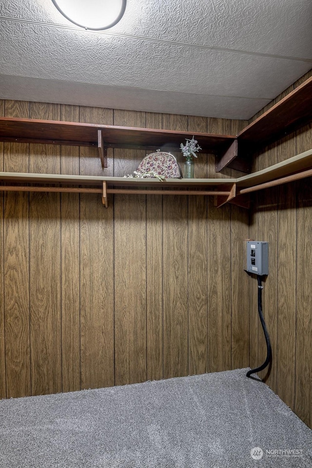 walk in closet featuring carpet flooring