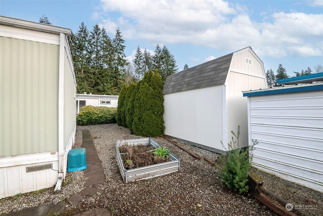 view of yard featuring a storage shed