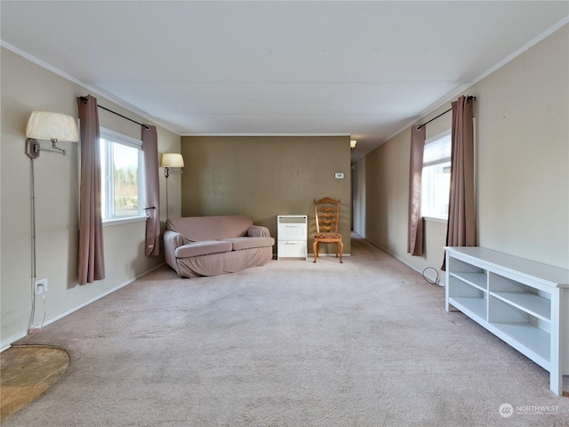 living area featuring carpet and ornamental molding