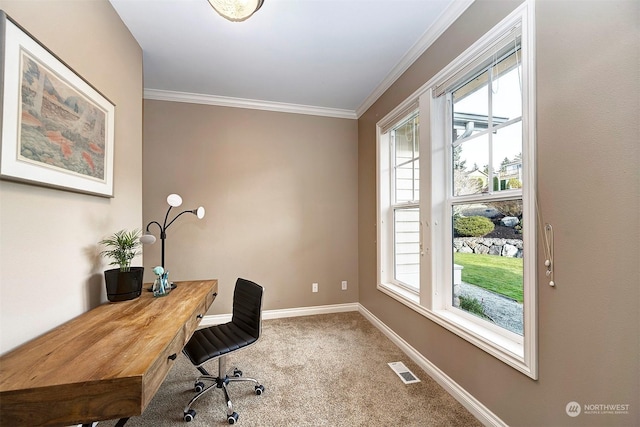 carpeted office featuring a healthy amount of sunlight and ornamental molding