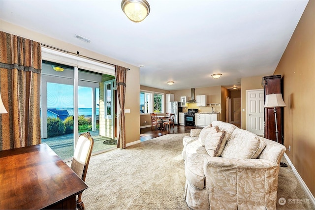 living room with dark hardwood / wood-style flooring and sink