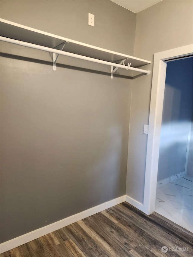 spacious closet featuring dark wood-type flooring