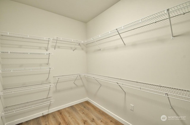 spacious closet with hardwood / wood-style flooring