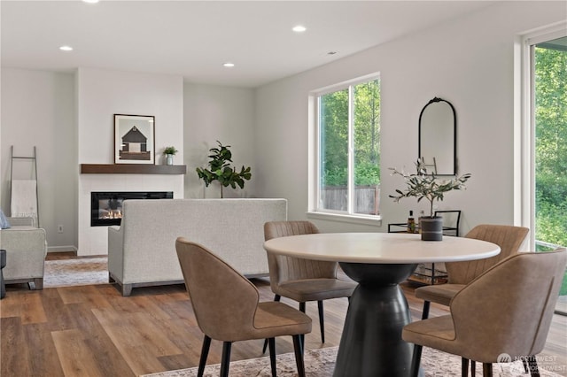 dining room featuring a healthy amount of sunlight and wood-type flooring