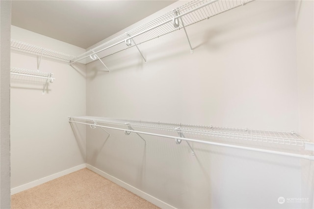 walk in closet featuring light carpet