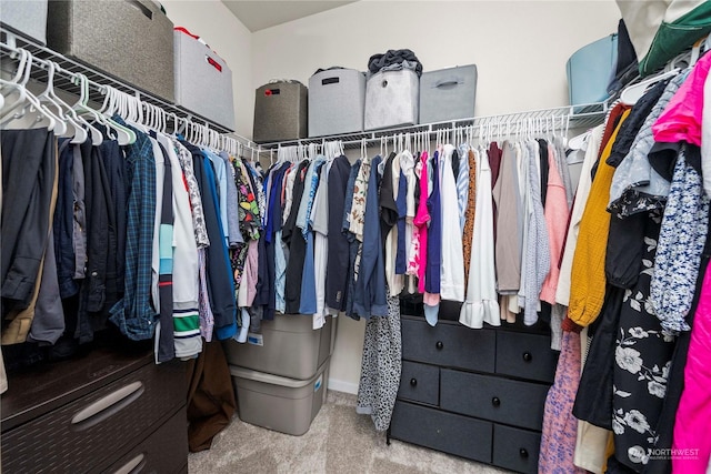 walk in closet with carpet floors