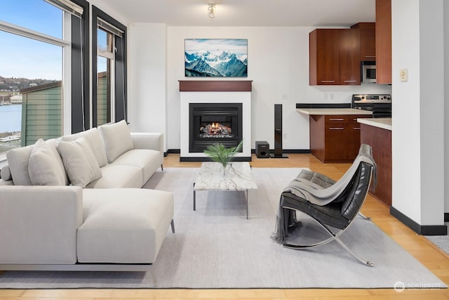 living room with light hardwood / wood-style flooring