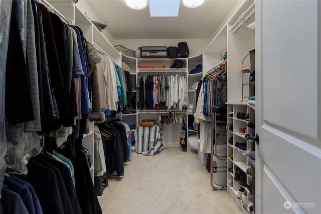 walk in closet with light colored carpet