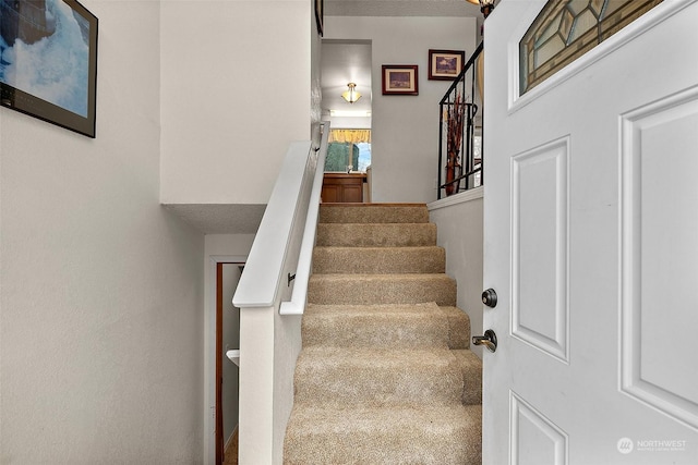 stairway featuring carpet floors