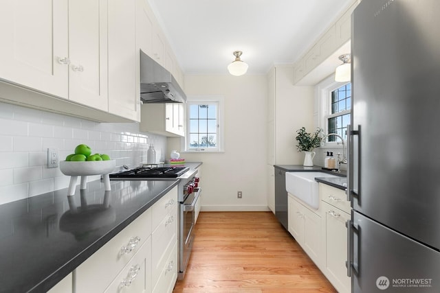 kitchen featuring light wood finished floors, stainless steel appliances, white cabinets, under cabinet range hood, and backsplash