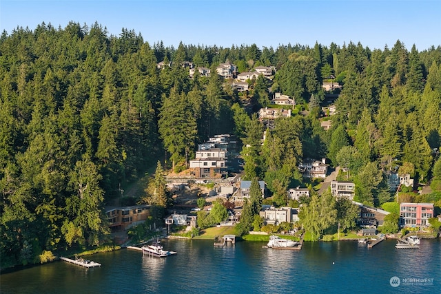 drone / aerial view with a water view