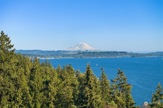 view of water feature featuring a mountain view