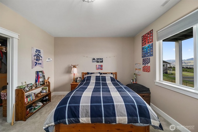 11 Holcomb Dr, East Wenatchee, WA 98802 - bedroom featuring multiple windows, light carpet, and baseboards