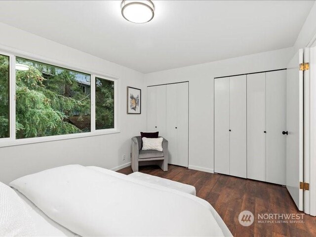 bedroom featuring two closets and dark hardwood / wood-style floors