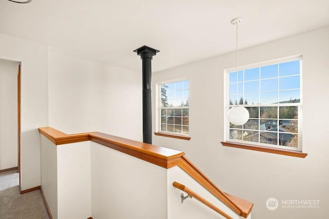 staircase with carpet