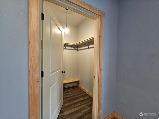 spacious closet featuring dark wood-type flooring