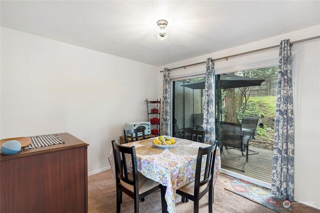 carpeted dining area with a textured ceiling