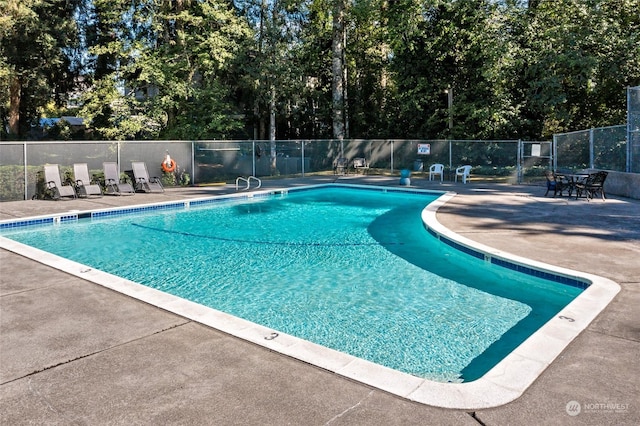 view of swimming pool with a patio area