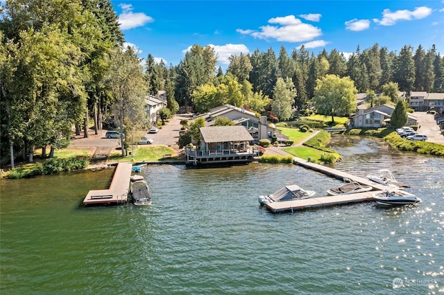 dock area with a water view