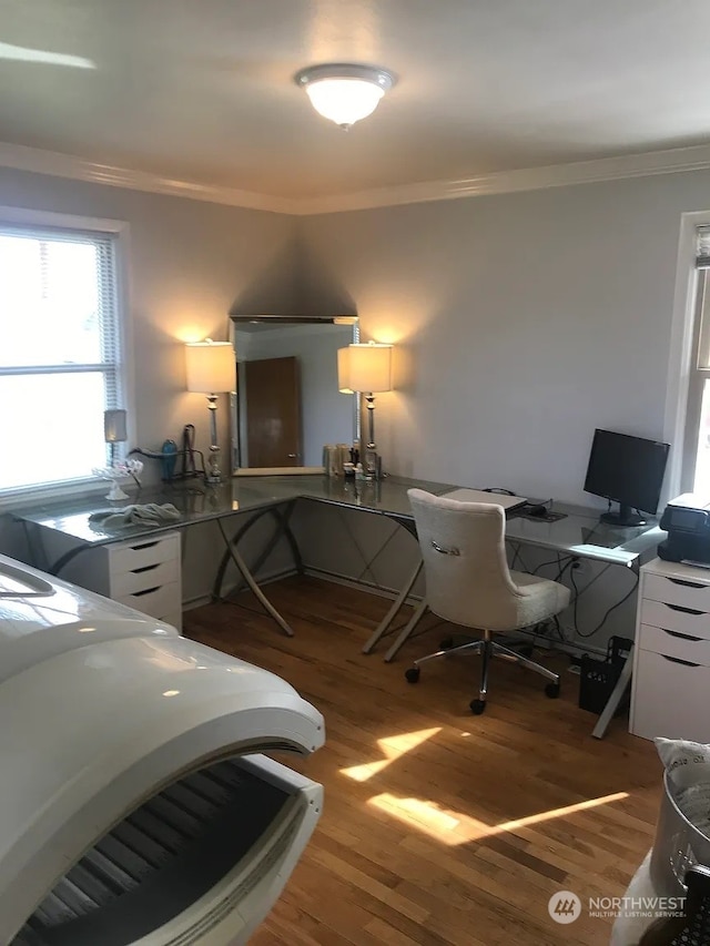 home office with hardwood / wood-style floors and crown molding