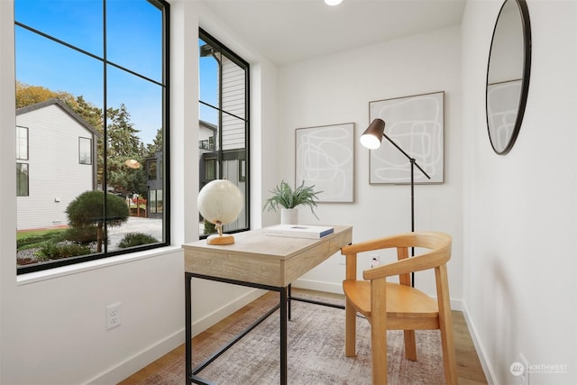 home office featuring hardwood / wood-style floors