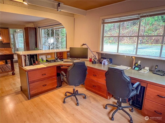 office with light hardwood / wood-style floors