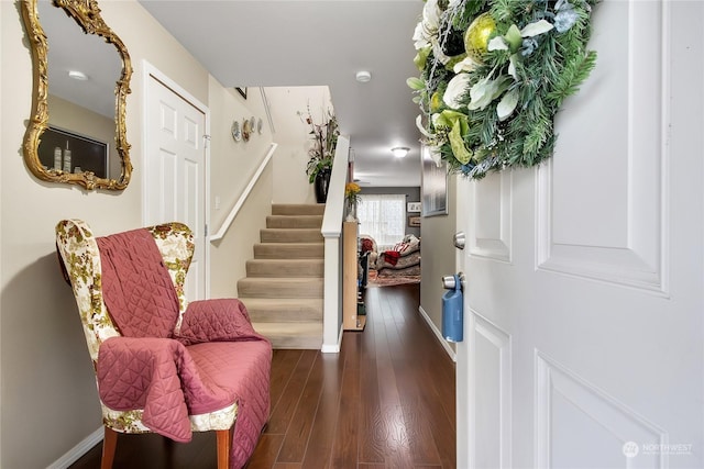 foyer entrance featuring dark wood-type flooring