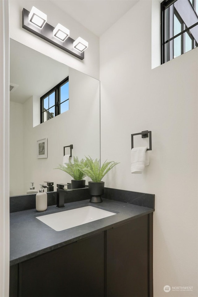 bathroom featuring vanity and a wealth of natural light