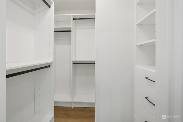 spacious closet featuring wood-type flooring