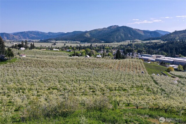 0 Ludwig Hill Rd, Peshastin, WA 98847