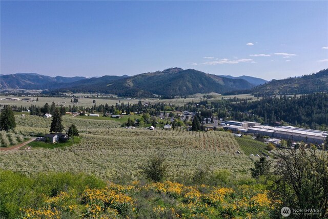 0 Ludwig Hill Rd, Peshastin, WA 98847